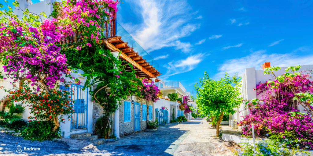 Day 7 – Bodrum