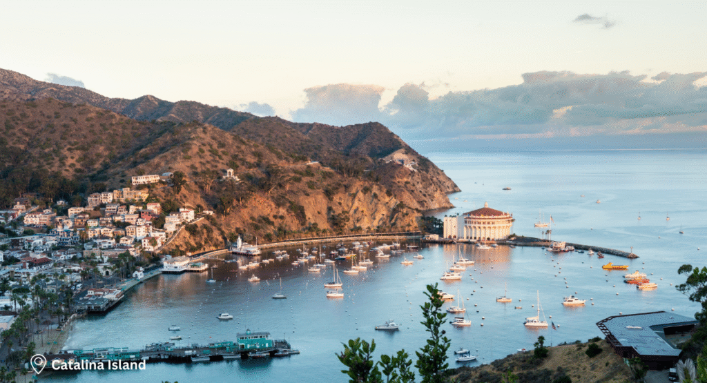 Day 9 – Catalina Island