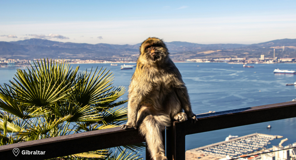 Day 2 – Gibraltar