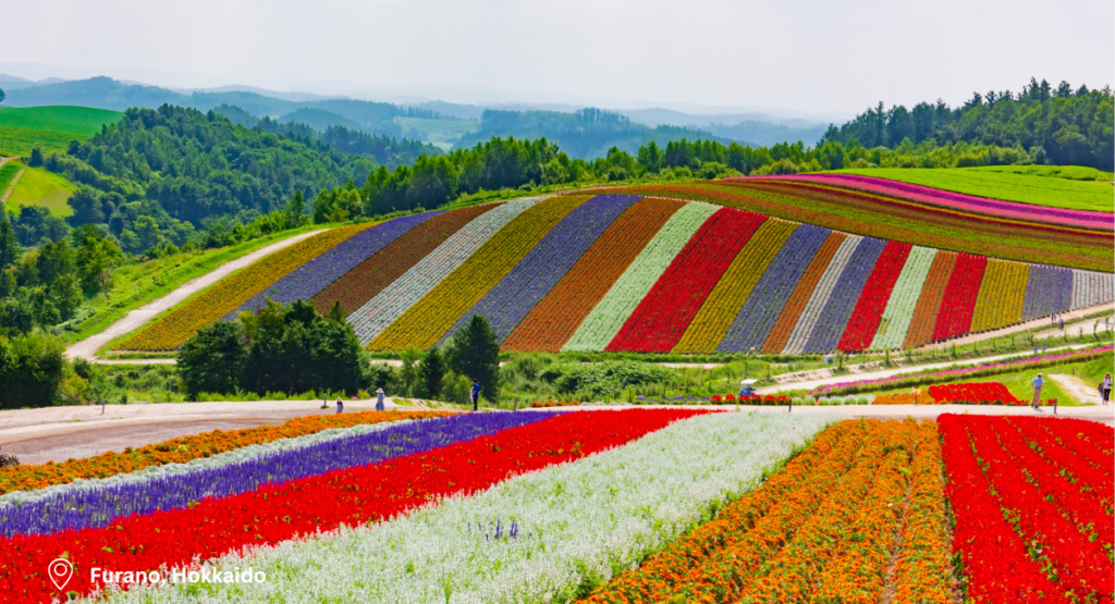 Day 5 – Furano