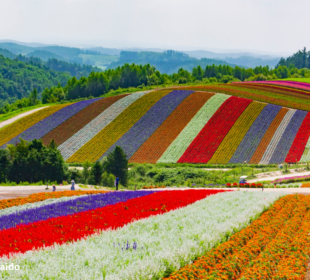 The Secrets of Hokkaido
