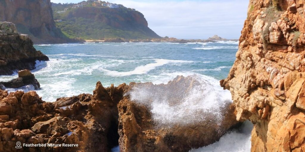 Day 9 – Knysna & Featherbed Nature Reserve