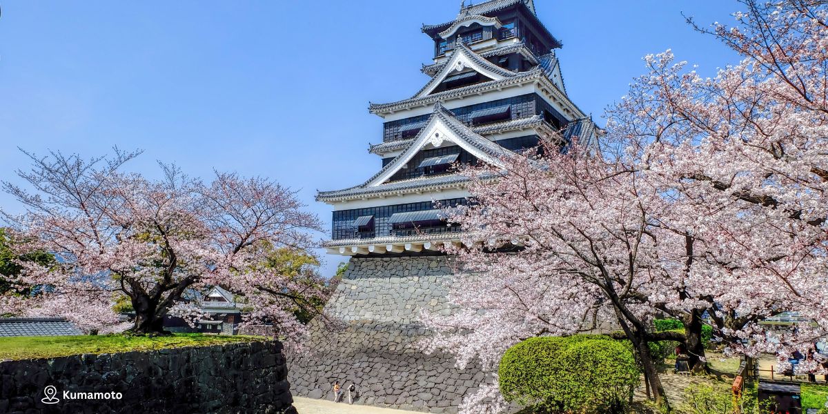 Kumamoto