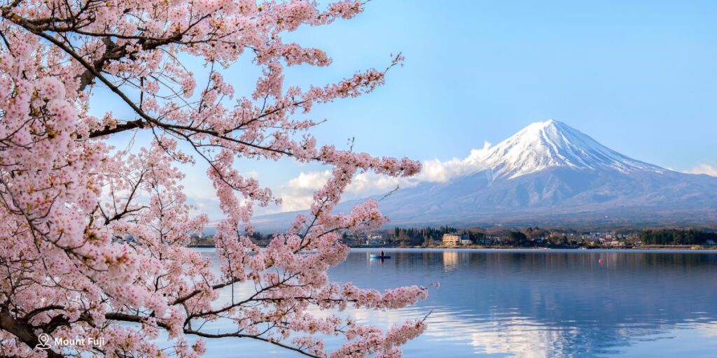 Day 2 to 4 – Tokyo