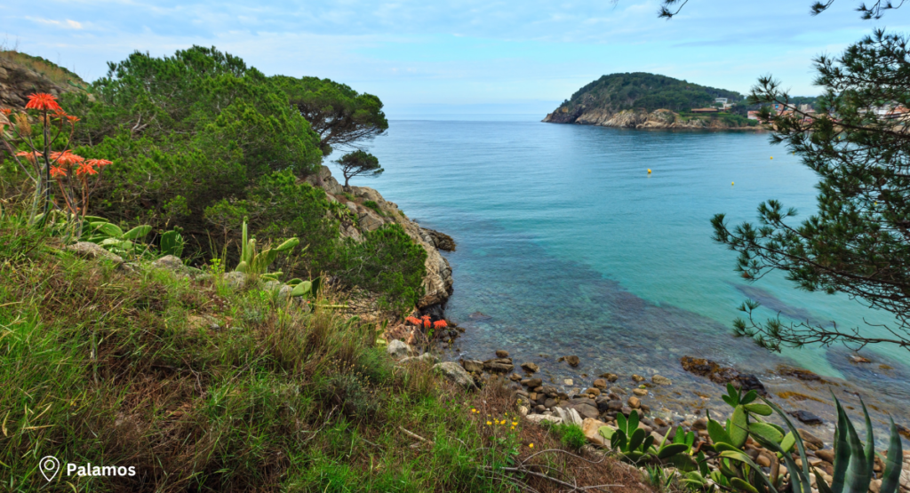 Day 5 – Palamos