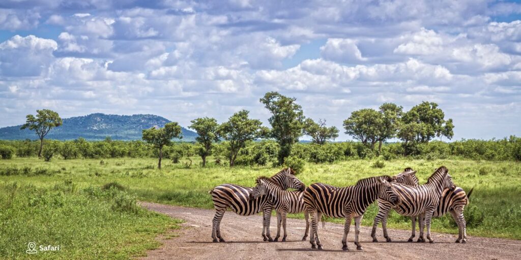 Day 5 – Wildlife Rehabilitation Tour & Nature Walk