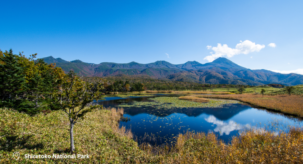 Day 9 to 10 – Shiretoko