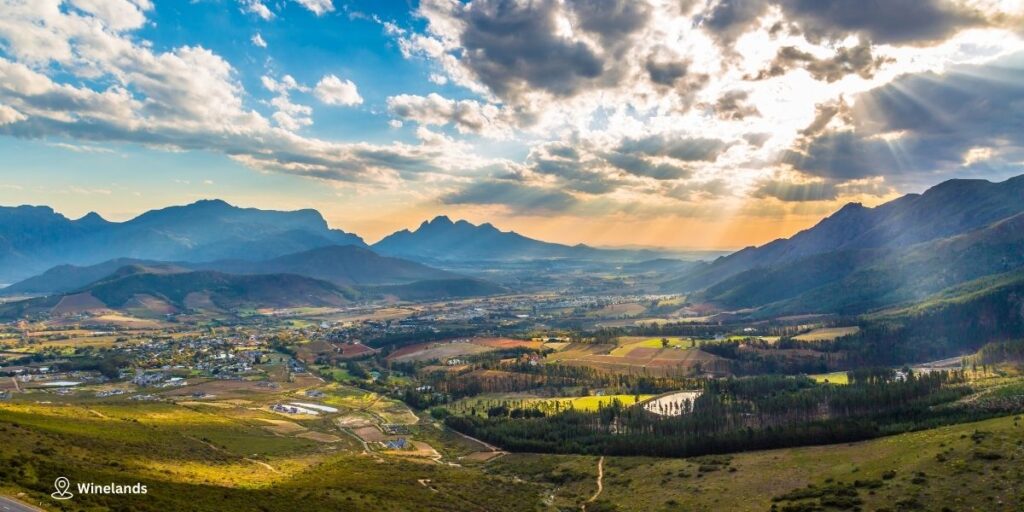 Day 11 –  Winelands